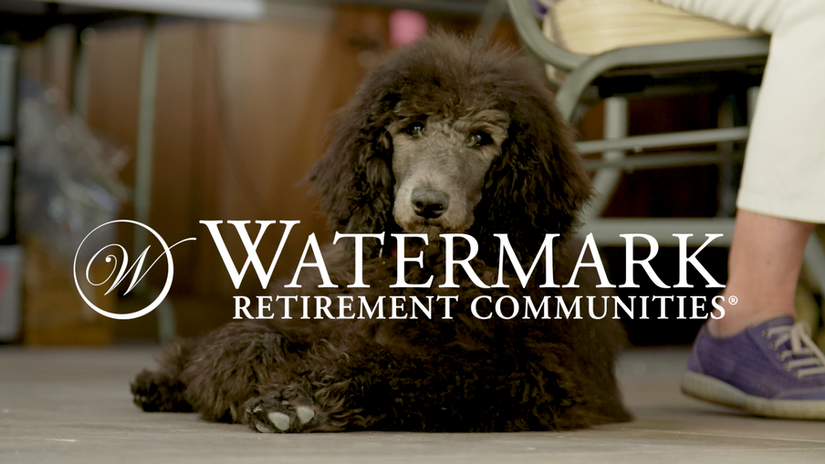 Creativity is Ageless - Marianne